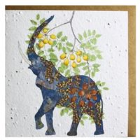 Growing Paper Elephant & Marula Greeting Card